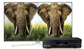 SD Set Top Box SD Set Top Box